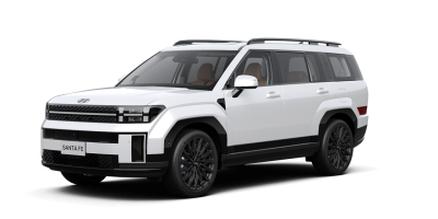 Santafe 2.5 xăng đặc biệt