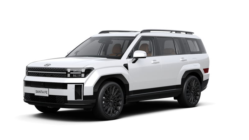 Santafe 2.5 xăng đặc biệt